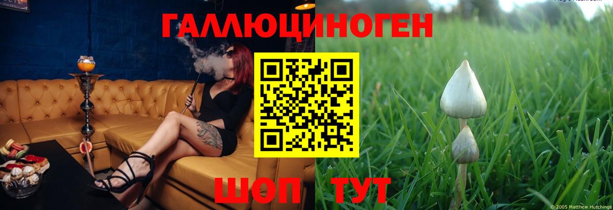 Псилоцибиновые грибы Psilocybe Назарово